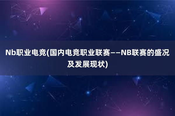 Nb职业电竞(国内电竞职业联赛——NB联赛的盛况及发展现状)