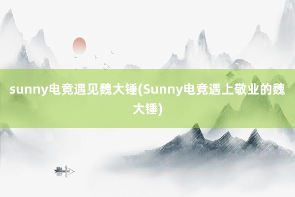 sunny电竞遇见魏大锤(Sunny电竞遇上敬业的魏大锤)