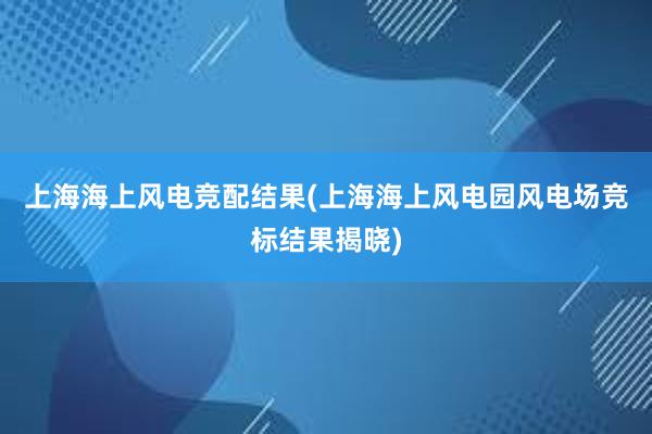 上海海上风电竞配结果(上海海上风电园风电场竞标结果揭晓)