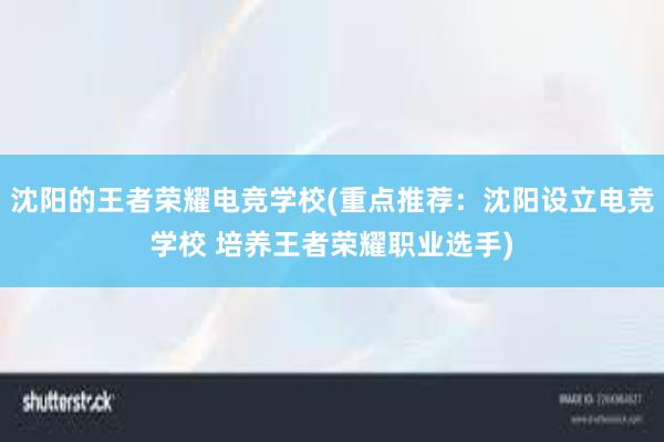 沈阳的王者荣耀电竞学校(重点推荐：沈阳设立电竞学校 培养王者荣耀职业选手)