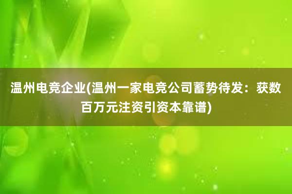 温州电竞企业(温州一家电竞公司蓄势待发：获数百万元注资引资本靠谱)