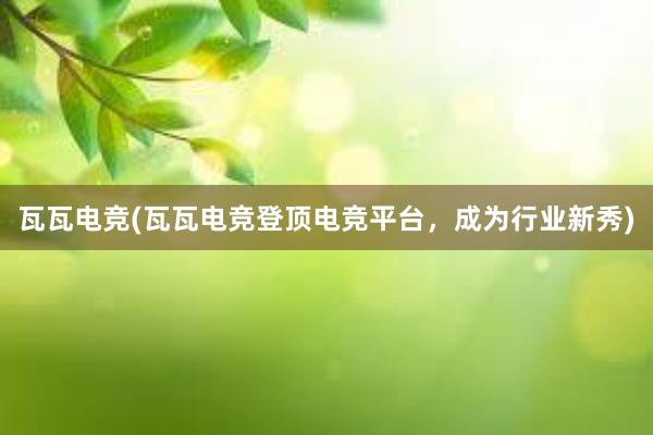 瓦瓦电竞(瓦瓦电竞登顶电竞平台，成为行业新秀)