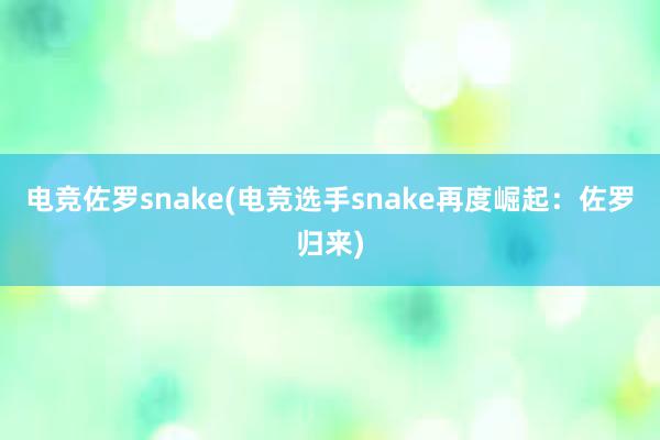 电竞佐罗snake(电竞选手snake再度崛起：佐罗归来)