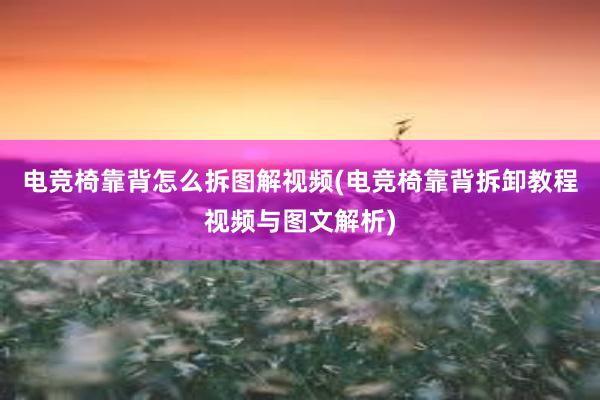 电竞椅靠背怎么拆图解视频(电竞椅靠背拆卸教程视频与图文解析)