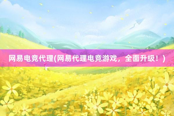 网易电竞代理(网易代理电竞游戏，全面升级！)