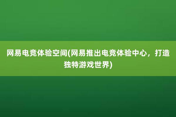 网易电竞体验空间(网易推出电竞体验中心，打造独特游戏世界)