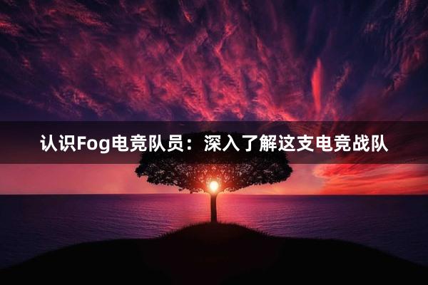 认识Fog电竞队员：深入了解这支电竞战队