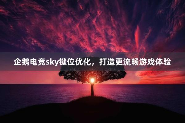 企鹅电竞sky键位优化，打造更流畅游戏体验