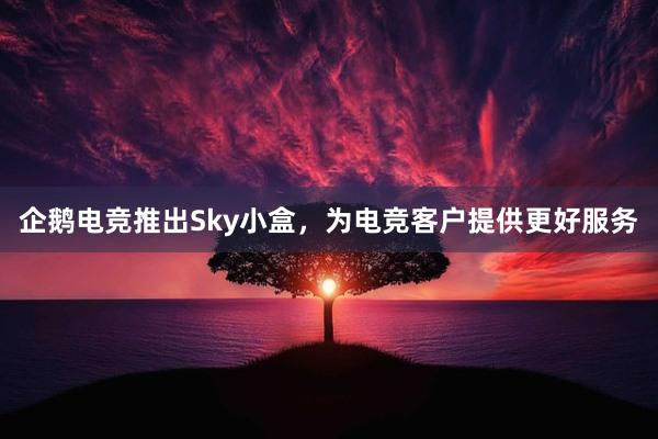 企鹅电竞推出Sky小盒，为电竞客户提供更好服务