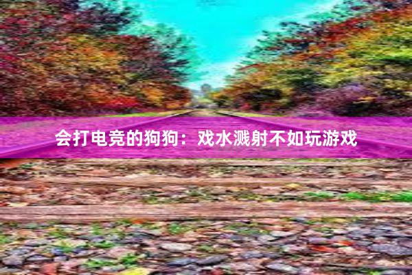 会打电竞的狗狗：戏水溅射不如玩游戏