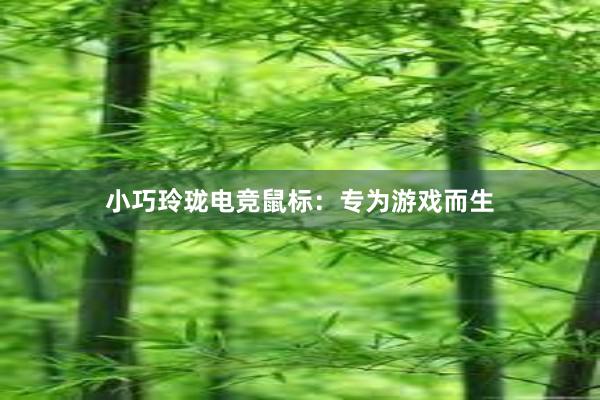 小巧玲珑电竞鼠标：专为游戏而生