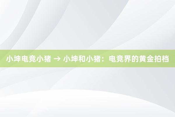 小坤电竞小猪 → 小坤和小猪：电竞界的黄金拍档