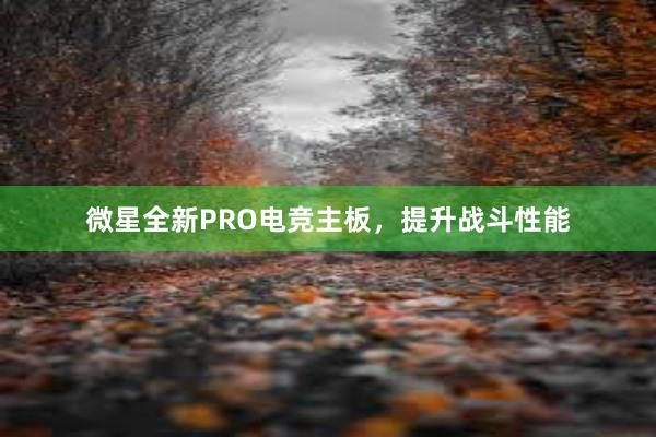 微星全新PRO电竞主板，提升战斗性能