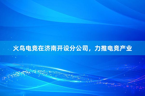 火鸟电竞在济南开设分公司，力推电竞产业