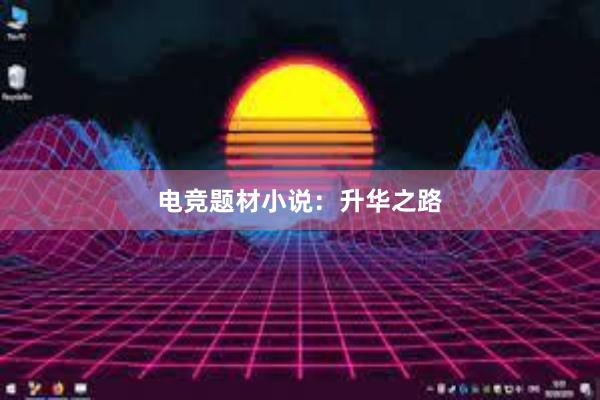 电竞题材小说：升华之路