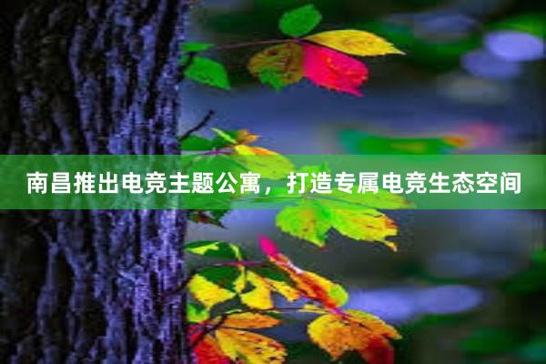 南昌推出电竞主题公寓，打造专属电竞生态空间