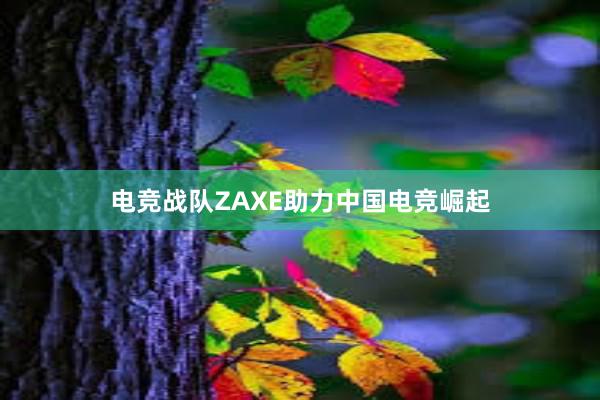 电竞战队ZAXE助力中国电竞崛起